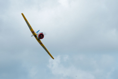 P1018151