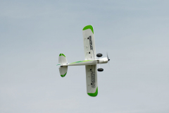 P1018411