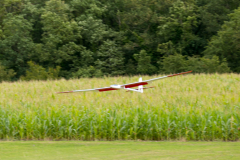 P1018423